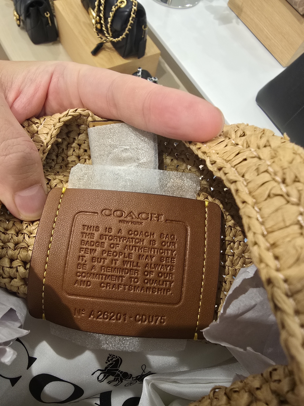 【Firm Price】Coach Brooklyn 28 Shoulder Bag with Braided Handle - Picture 4 of 9
